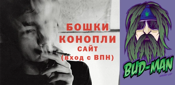 spice Покачи