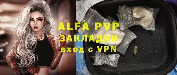 прущая мука Вяземский
